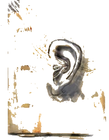 Ohr